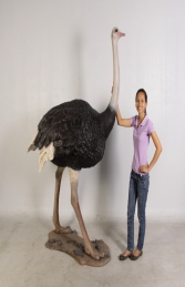 Ostrich (JR 130003) - Thumbnail 03