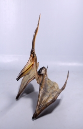Pteranodon  (JR 140072) - Thumbnail 01
