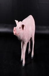 Pig -100cm (JR 140083) - Thumbnail 01