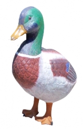 Duck - Mallard 24" (JR 150003) - Thumbnail 01