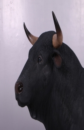 Spanish Fighting Bull (JR 150232) - Thumbnail 02