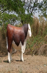 Hereford Bull (JR 160034)  - Thumbnail 02
