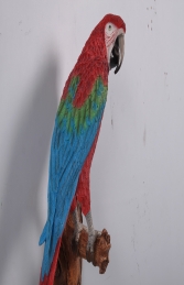 Parrot - Red/Blue (JR 170015RB) - Thumbnail 01