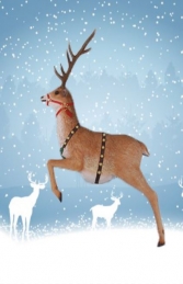 Reindeer (JR 170017n) - Thumbnail 01