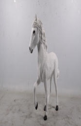 Pony- White (JR 170161) - Thumbnail 03