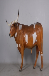 Texas Longhorn Bull (JR 170163)  - Thumbnail 02