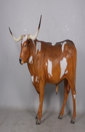 Texas Longhorn Bull (JR 170163)  - Thumbnail 01