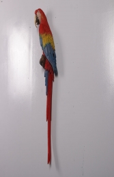 Scarlet Macaw-JR 190159 - Thumbnail 01