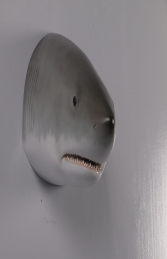 Great White Shark Head 20" - JR 190168 - Thumbnail 03