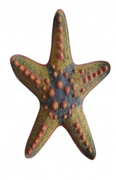 Chocco Chip Starfish (JR R-204)