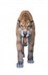 Saber Toothed Tiger (JR 3162) - Thumbnail 01
