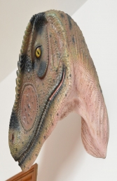 Allosaurus Head Looking Back (JR 100014) - Thumbnail 02
