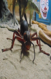 Ant (JR R-054)	