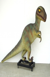 Tyrannosaurus T Rex Baby (JR 1593) - Thumbnail 01