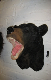 Black Bear Head (JR DD88140A) - Thumbnail 01