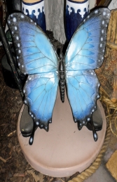 Butterfly (JR 150021) - Thumbnail 02