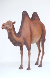 Camel Life-size (JR 2235) - Thumbnail 01