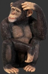 Chimpanzee (JR 110026) - Thumbnail 01