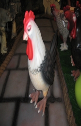 Funny Chicken No 7 JR FSC1333-7