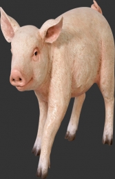 Piglet Chubby (JR 110084)	