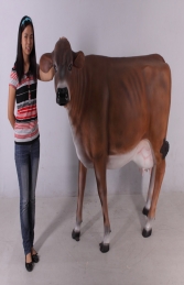 Cow Head Up (Smooth No Horns) - Jersey (JR 0011) - Thumbnail 03
