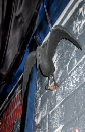 Crow taking off (JR R-100) - Thumbnail 02