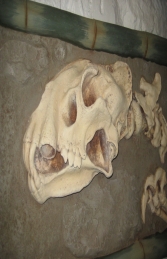 Dino Skeleton head wall mounted (JR ACP1266) - Thumbnail 02