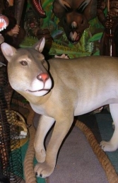 Cougar / Puma Life-size (JR 2415) - Thumbnail 02