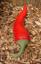Chili Pepper- Red 73cm (JR 2479-a) - Thumbnail 02