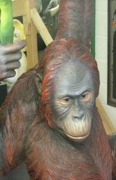 Orangutan Hanging Life-size (JR 2525)  - Thumbnail 01