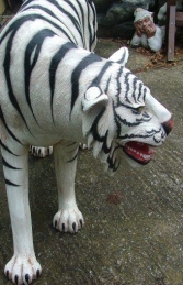 Tiger life-size White (JR 1856 -W)