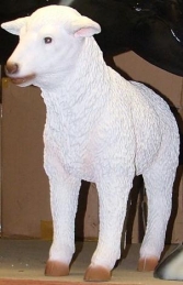 Lamb life-size (JR 2362)