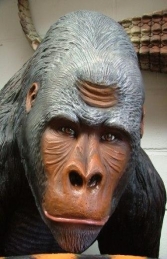 Gorilla Life-size (JR 2299) - Thumbnail 02