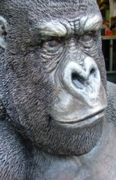 Gorilla Sitting (JR 090009) - Thumbnail 03