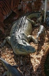 Crocodile 2.2m Adult (JR 080123) - Thumbnail 03