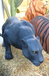 Black Panther (JR 090011)
