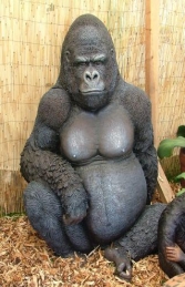 Gorilla Sitting (JR 090009)