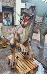 Dromaeosaurus -  Orange (JR 110115O) - Thumbnail 03