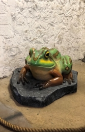 Giant Green & Gold Bell Frog on Rock JR 120070 - Thumbnail 01