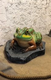 Giant Green & Gold Bell Frog on Rock JR 120070 - Thumbnail 02