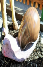 Garden Snail - Giant (JR 140066) - Thumbnail 03