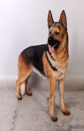 German Shepherd Dog (JR 110104) - Thumbnail 01
