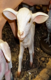 Goat - Kid Standing (JR 3368) - Thumbnail 03