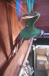 Parrot Flying - Green (JR R-035G) - Thumbnail 02