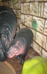 Hippo Baby (JR 110087) - Thumbnail 03