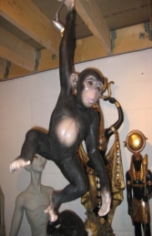Monkey / Chimpanzee Baby (JR 080079)