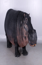 Hippopotamus (JR 140043) - Thumbnail 01