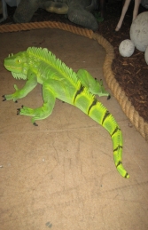Iguana 3ft long (JR 2160) - Thumbnail 02