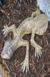 Giant Leaf Tailed Gecko - (JR 110092) - Thumbnail 02