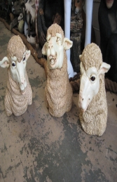 Merino Sheep Head 3 (JR 110046) - Thumbnail 03